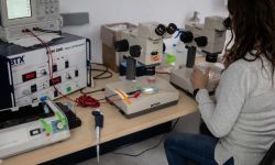 دراسة: الحمض النووي هدف "ثمين" للقرصنة الإلكترونية